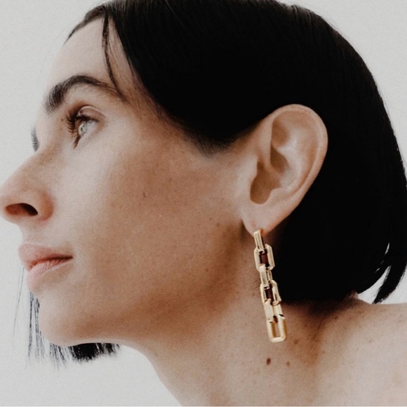 Eddie Borgo Supra Link Necklace & Earrings Set - Picture 5 of 9